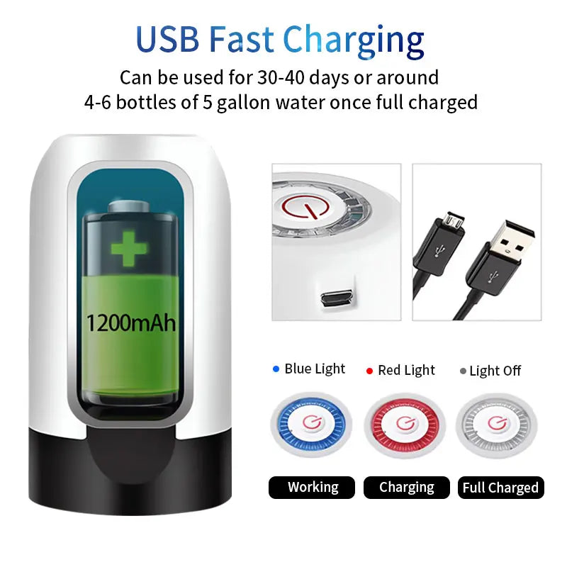 Electric Water Pump